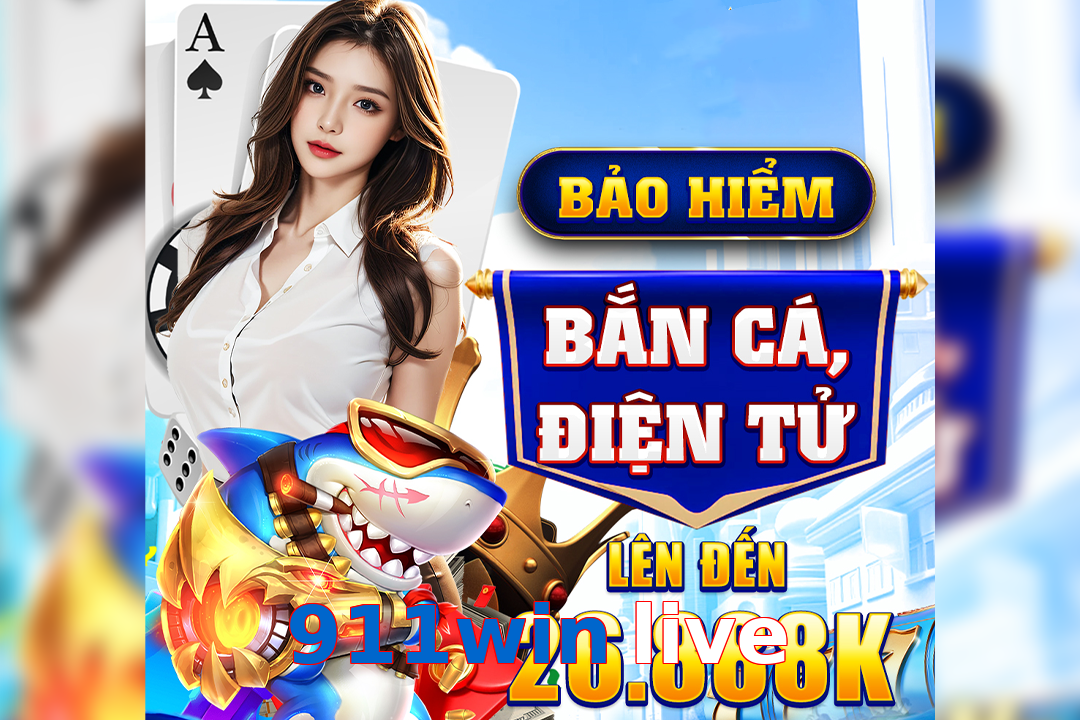 911win live