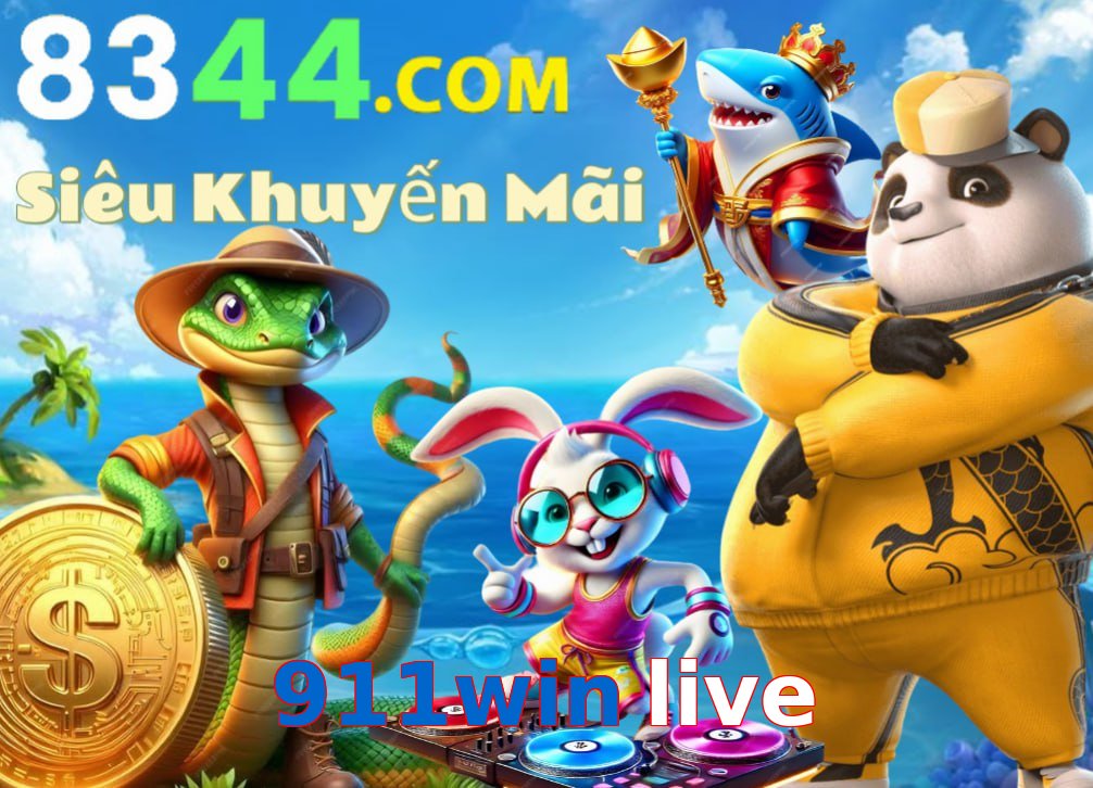 911win live
