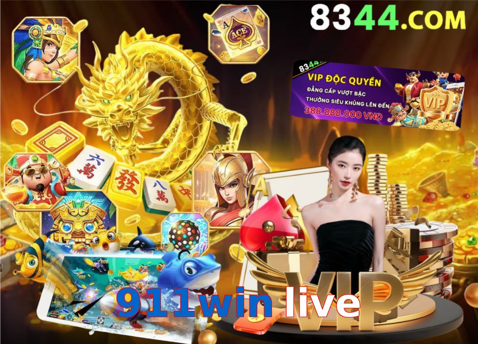 911win live
